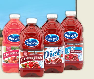 BOGO Ocean Spray Coupon! - Cha-Ching on a Shoestring™